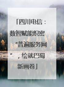 四川电信：数智赋能织密“普遍服务网”，绘就巴蜀新画卷