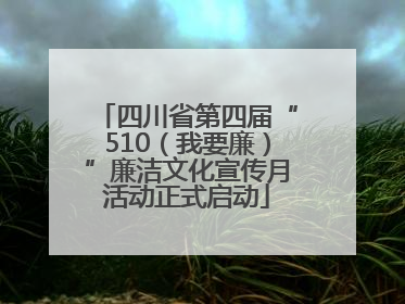 四川省第四届“510（我要廉）”廉洁文化宣传月活动正式启动