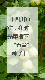 四川宜宾：在时光里播下“五育”种子