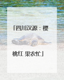 四川汉源：樱桃红 果农忙