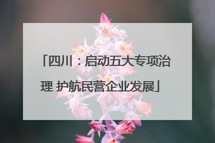 四川：启动五大专项治理 护航民营企业发展