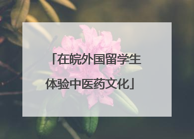 在皖外国留学生体验中医药文化