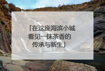 在这座海滨小城 看见一抹茶香的传承与新生