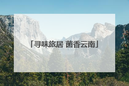 寻味旅居 菌香云南