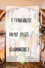 寻根羲皇故里 共话金融赋能