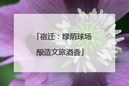 宿迁：绿荫球场酿造文旅酒香