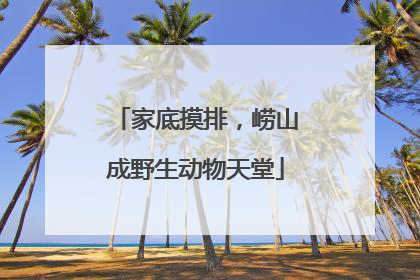 家底摸排，崂山成野生动物天堂