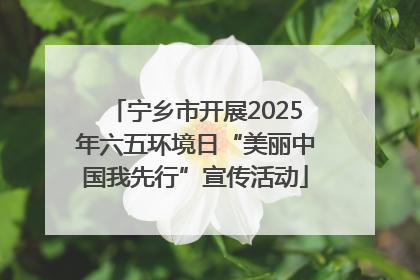 宁乡市开展2025年六五环境日“美丽中国我先行”宣传活动