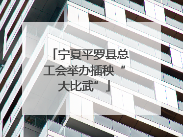 宁夏平罗县总工会举办插秧“大比武”