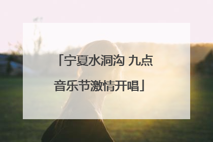 宁夏水洞沟 九点音乐节激情开唱