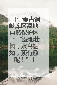 宁夏青铜峡库区湿地自然保护区：“湿地壮阔，水鸟振翅，顶有趣呢！”