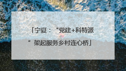 宁夏：“党建+科特派”架起服务乡村连心桥
