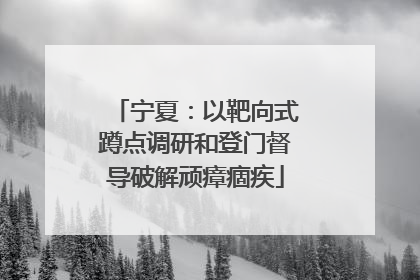 宁夏：以靶向式蹲点调研和登门督导破解顽瘴痼疾