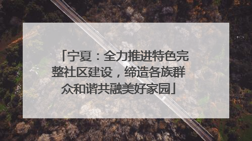 宁夏：全力推进特色完整社区建设，缔造各族群众和谐共融美好家园