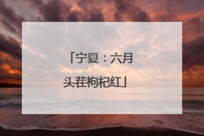 宁夏：六月头茬枸杞红