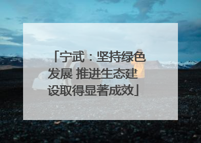 宁武：坚持绿色发展 推进生态建设取得显著成效