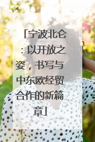宁波北仑：以开放之姿，书写与中东欧经贸合作的新篇章