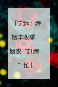 宁远：烤烟丰收季 烟农“赶烤”忙