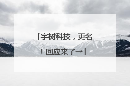 宇树科技，更名！回应来了→