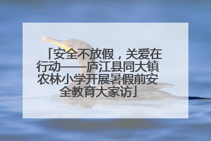 安全不放假，关爱在行动——庐江县同大镇农林小学开展暑假前安全教育大家访