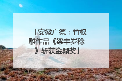 安徽广德：竹根雕作品《梁丰岁稔》斩获金鼎奖