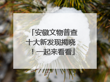 安徽文物普查十大新发现揭晓！一起来看看