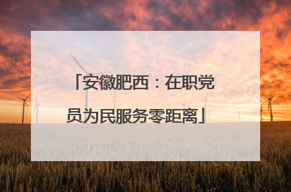 安徽肥西：在职党员为民服务零距离