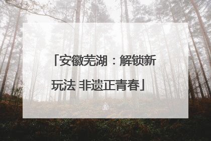 安徽芜湖：解锁新玩法 非遗正青春