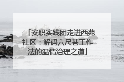 安职实践团走进西苑社区：解码六尺巷工作法的温情治理之道