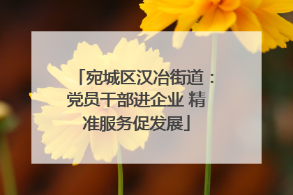 宛城区汉冶街道：党员干部进企业 精准服务促发展