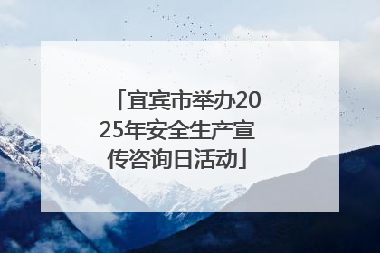 宜宾市举办2025年安全生产宣传咨询日活动