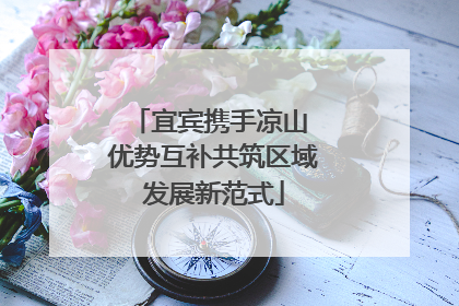 宜宾携手凉山 优势互补共筑区域发展新范式