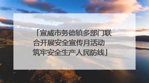 宣威市务德镇多部门联合开展安全宣传月活动 筑牢安全生产人民防线