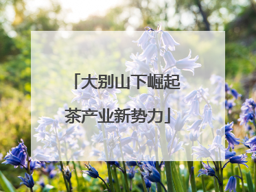 大别山下崛起茶产业新势力