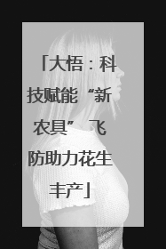 大悟：科技赋能“新农具” 飞防助力花生丰产