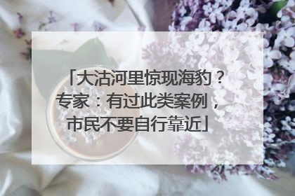 大沽河里惊现海豹？专家：有过此类案例，市民不要自行靠近