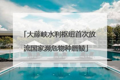 大藤峡水利枢纽首次放流国家濒危物种唇鲮
