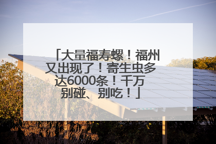 大量福寿螺！福州又出现了！寄生虫多达6000条！千万别碰、别吃！