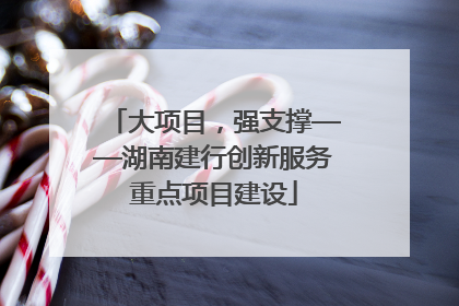 大项目，强支撑——湖南建行创新服务重点项目建设