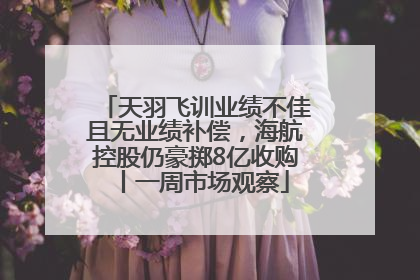 天羽飞训业绩不佳且无业绩补偿，海航控股仍豪掷8亿收购丨一周市场观察