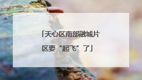 天心区南部融城片区要“起飞”了