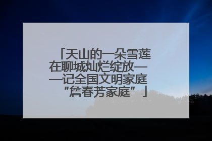 天山的一朵雪莲在聊城灿烂绽放——记全国文明家庭“詹春芳家庭”
