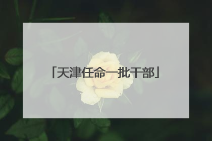 天津任命一批干部