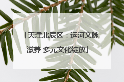 天津北辰区：运河文脉滋养 多元文化绽放