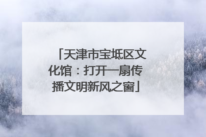 天津市宝坻区文化馆：打开一扇传播文明新风之窗