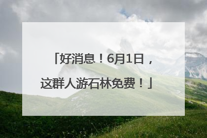 好消息！6月1日，这群人游石林免费！