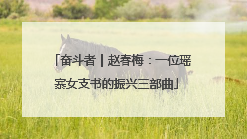 奋斗者｜赵春梅：一位瑶寨女支书的振兴三部曲