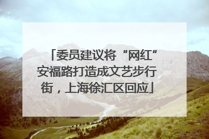 委员建议将“网红”安福路打造成文艺步行街，上海徐汇区回应