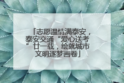 志愿温情满泰安，泰安交通“爱心送考”廿一载，绘就城市文明逐梦画卷