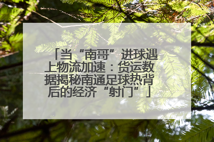 当“南哥”进球遇上物流加速：货运数据揭秘南通足球热背后的经济“射门”
